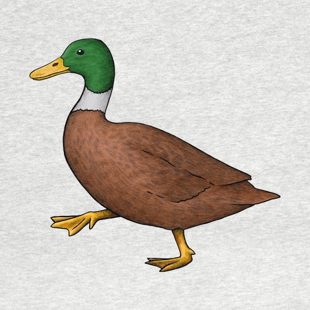 duck animal illustration, ducks family, wildlife, safari, by Akman